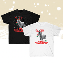 Load image into Gallery viewer, A Very Gaelic Storm Christmas T-Shirt
